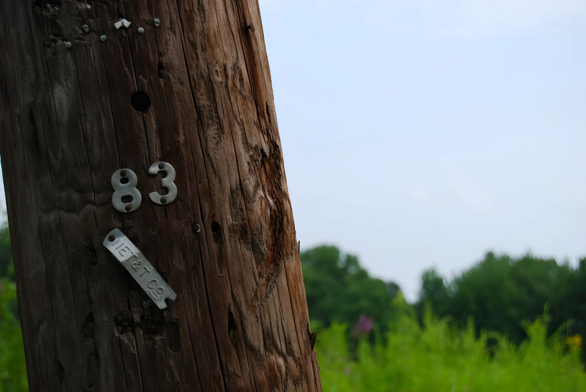 83